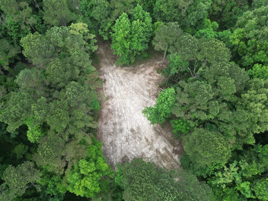Hamburg 41: Hunting Land for Sale in Roxie, Mississippi