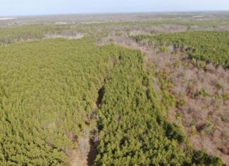 Juneau County 76 +/- Acre Parcel