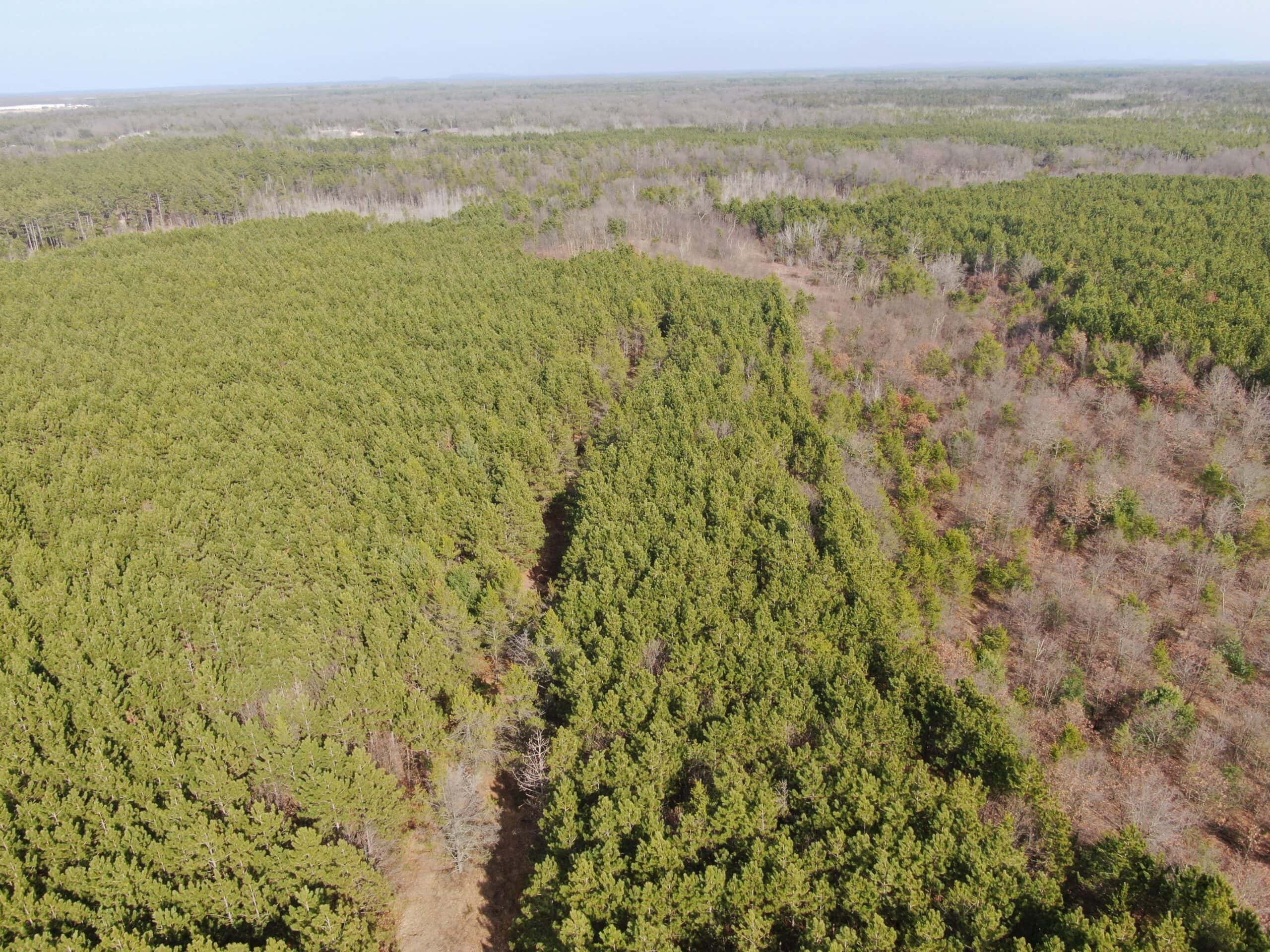 Juneau County 76 +/- Acre Parcel