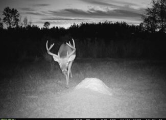 586 Hunting Land in the Catahoula Hills with Creek