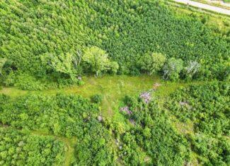 Hunting Land for Sale Morehouse Parish, LA