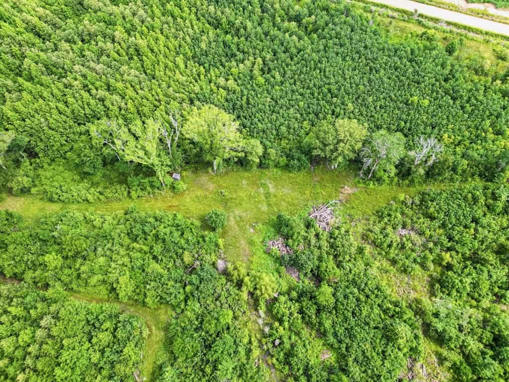 Hunting Land for Sale Morehouse Parish, LA