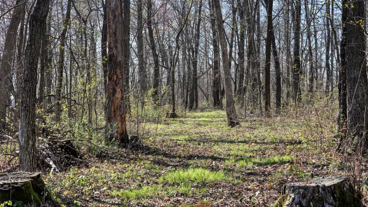 Premium 32+/- Acre Parcel in La Crosse County WI
