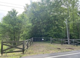 LAND FOR SALE IN TN, 39 AC+/-, CREEK, OPEN & WOODED, HUNTING