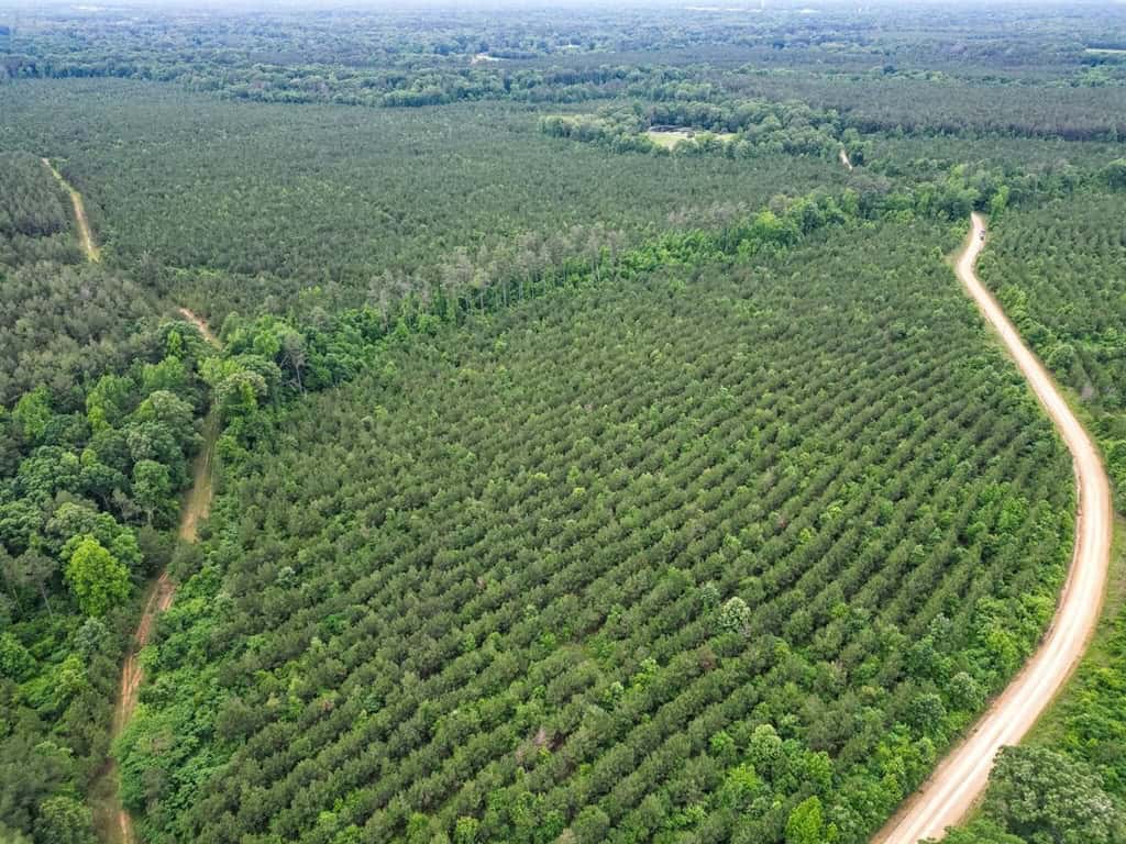 Hunting Land in Mousehouse Parish Near Bastrop, LA