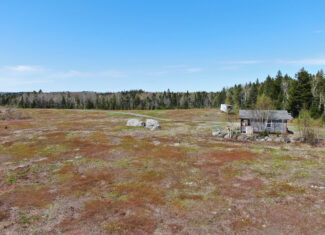 120± Acres of Land with Camp and Blueberry Field
