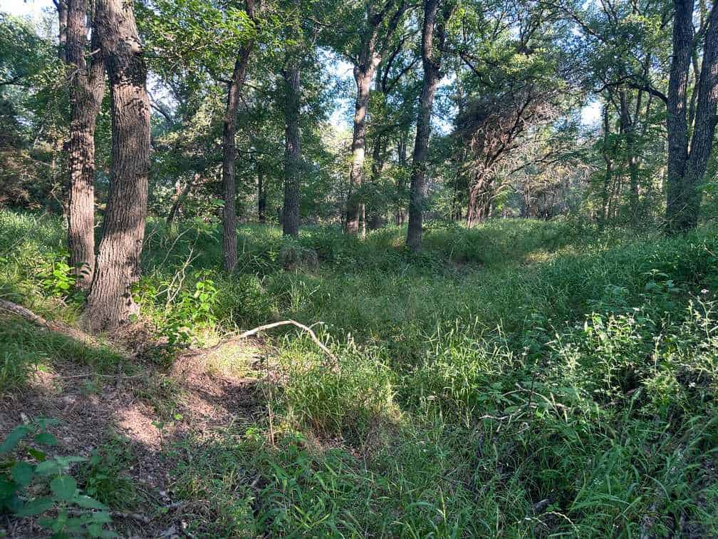 32-Acre Live Water Property with Leon River Frontage in Gatesville, TX