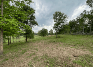 Secluded 100 Acre Mol Ranch in McCurtain County OK