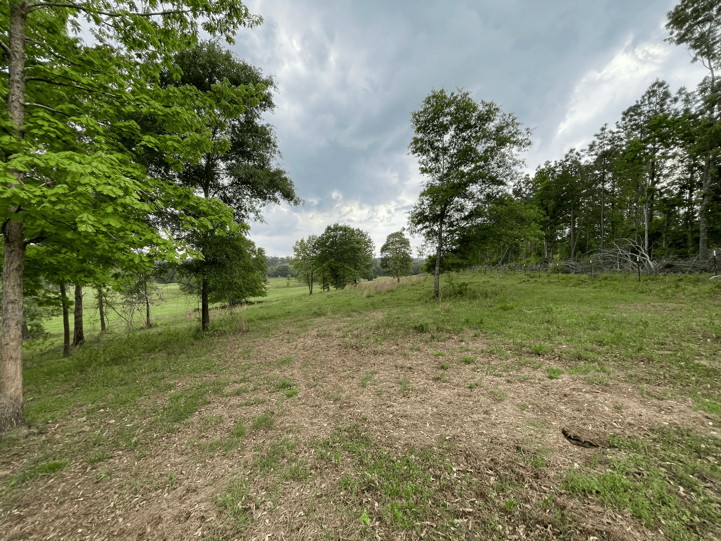 Secluded 100 Acre Mol Ranch in McCurtain County OK