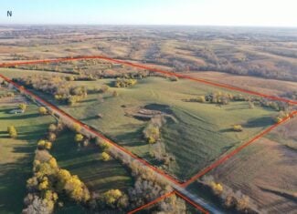 80 ± Acre Northern Parcel Farmland for Sale in Blockton, IA
