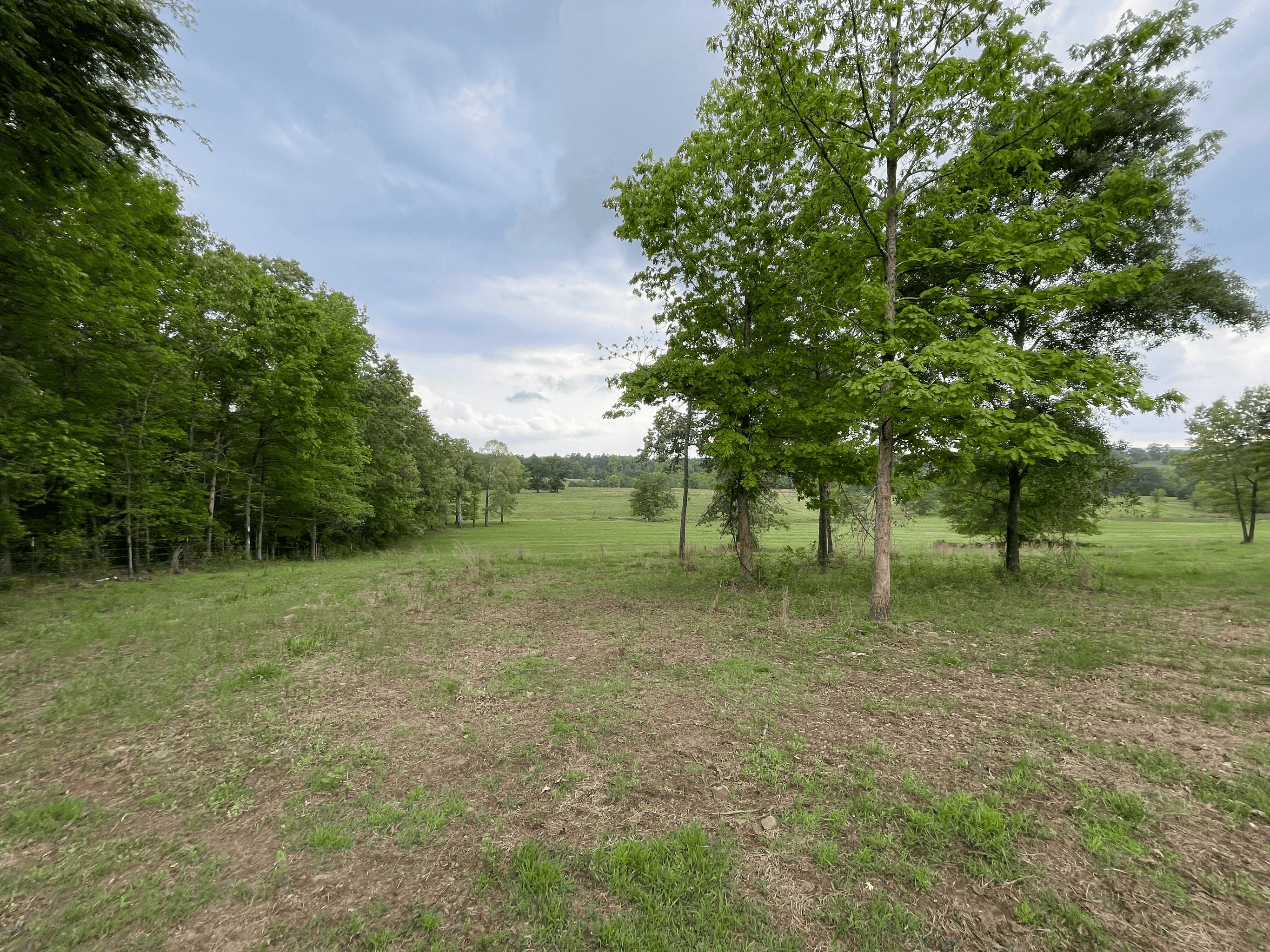 Secluded 100 Acre Mol Ranch in McCurtain County OK