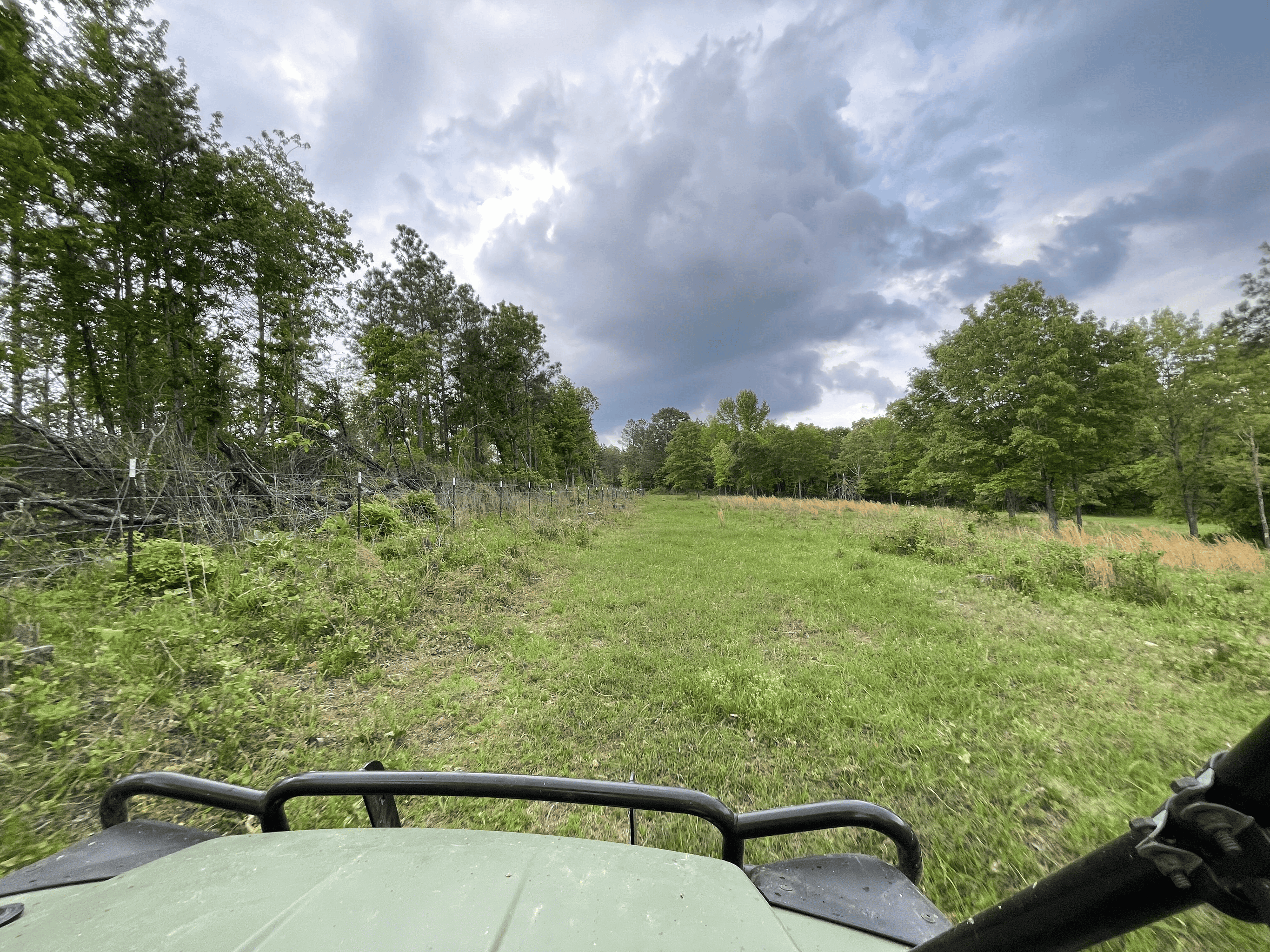 Secluded 100 Acre Mol Ranch in McCurtain County OK