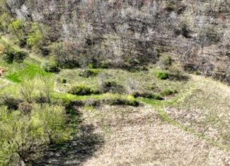 66+/- Acre Buildable Recreational Retreat – Mindoro, WI | La Crosse County