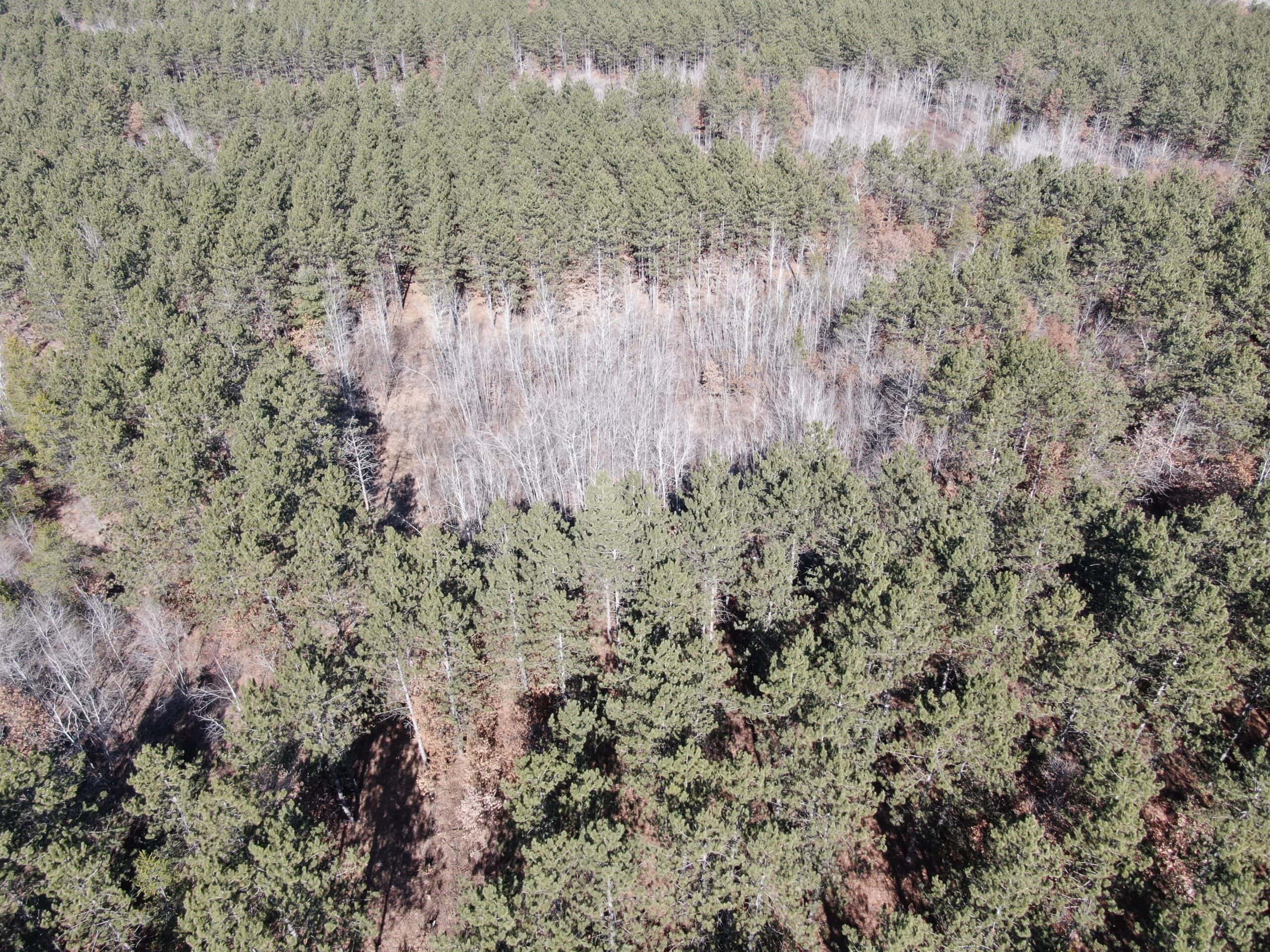 Juneau County WI 200-Acre Tract of Land