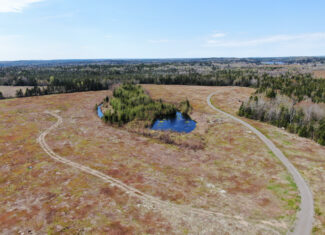 120± Acres of Land with Camp and Blueberry Field