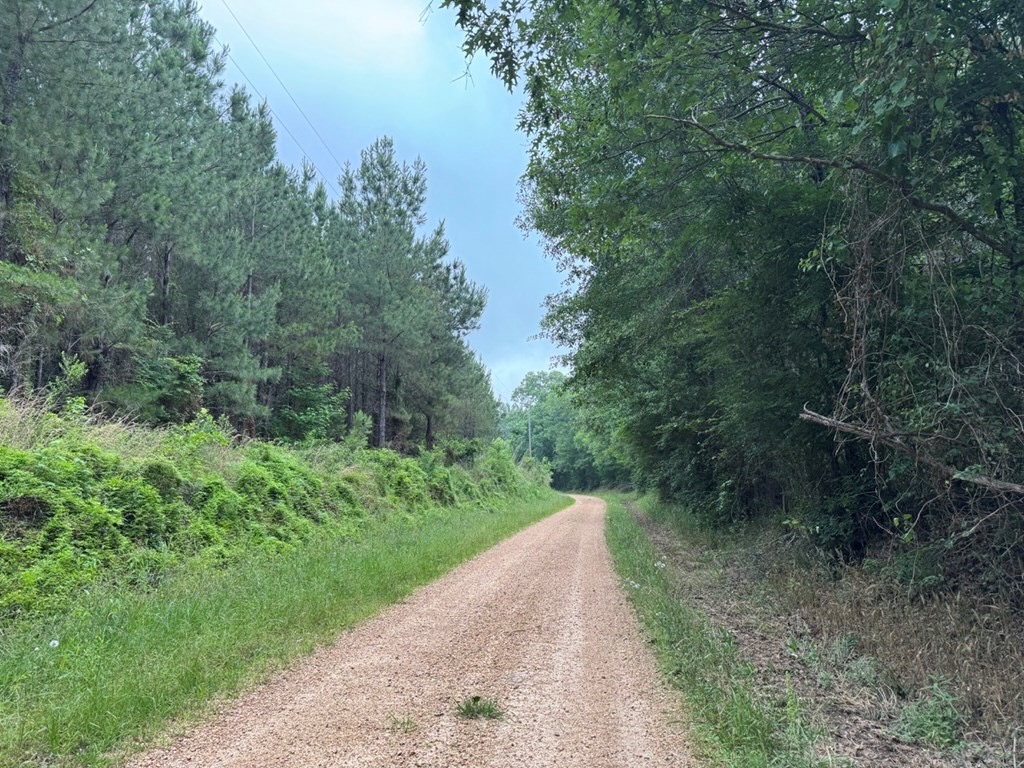 Hamburg 41: Hunting Land for Sale in Roxie, Mississippi