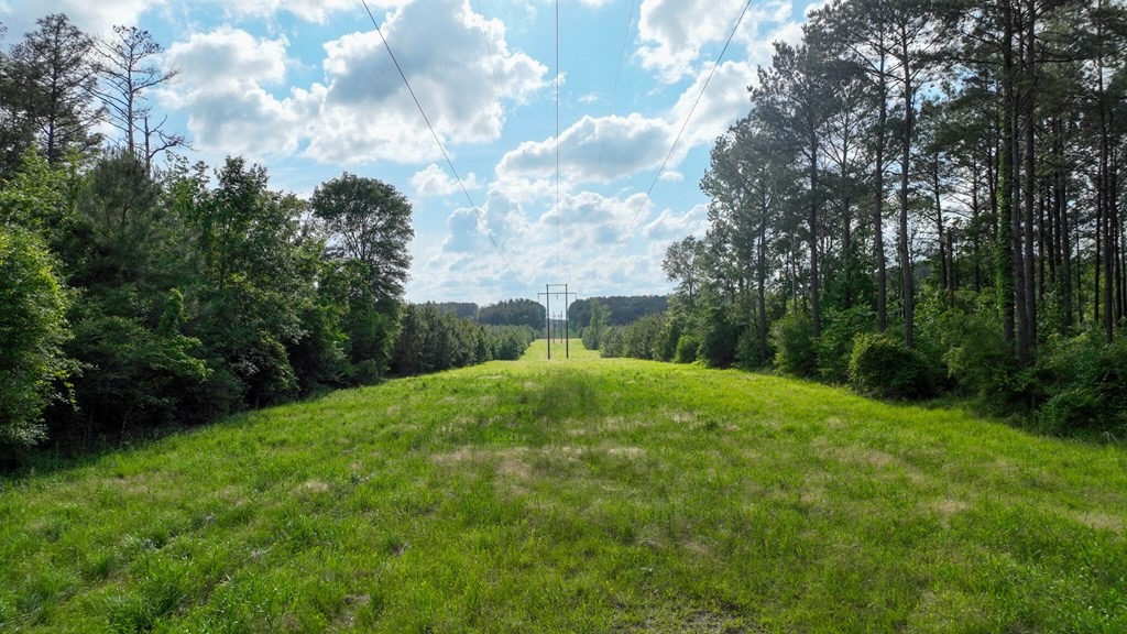 South Mississippi Hunting Paradise for Sale Amite County,MS