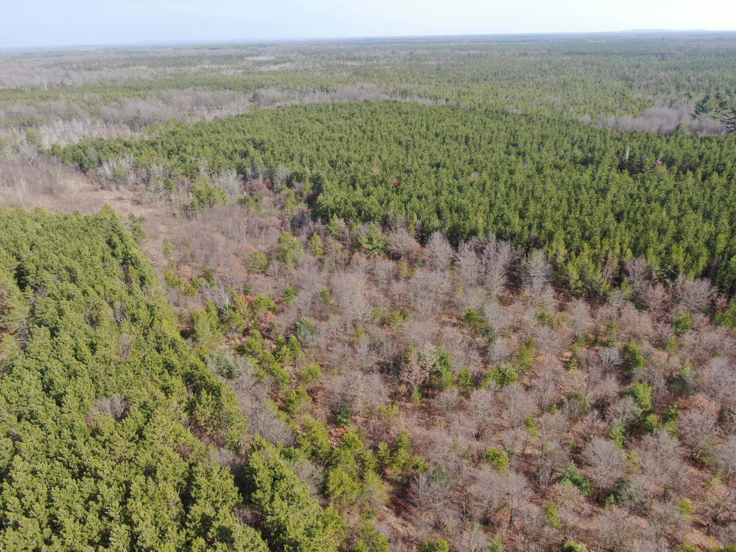 Juneau County 76 +/- Acre Parcel