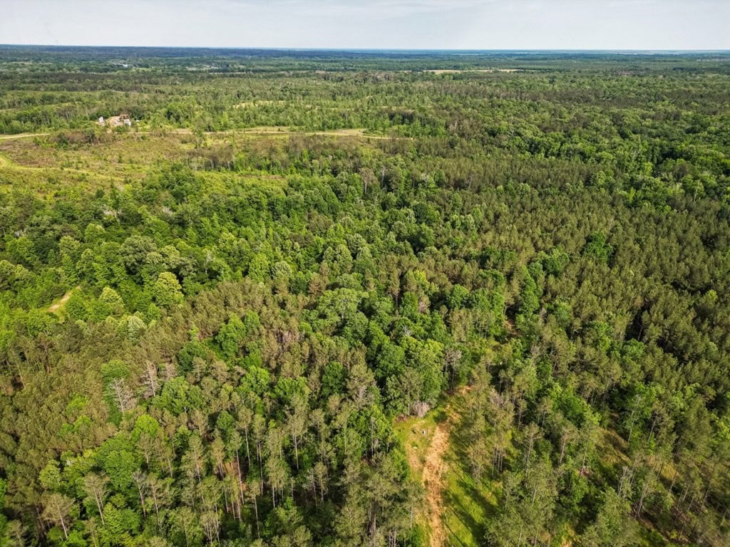 586 Hunting Land in the Catahoula Hills with Creek