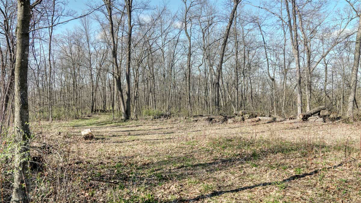 Premium 32+/- Acre Parcel in La Crosse County WI