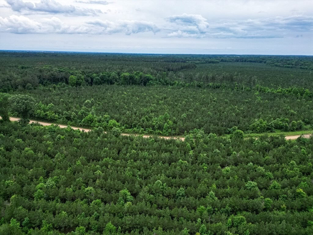 Hunting Land in Mousehouse Parish Near Bastrop, LA