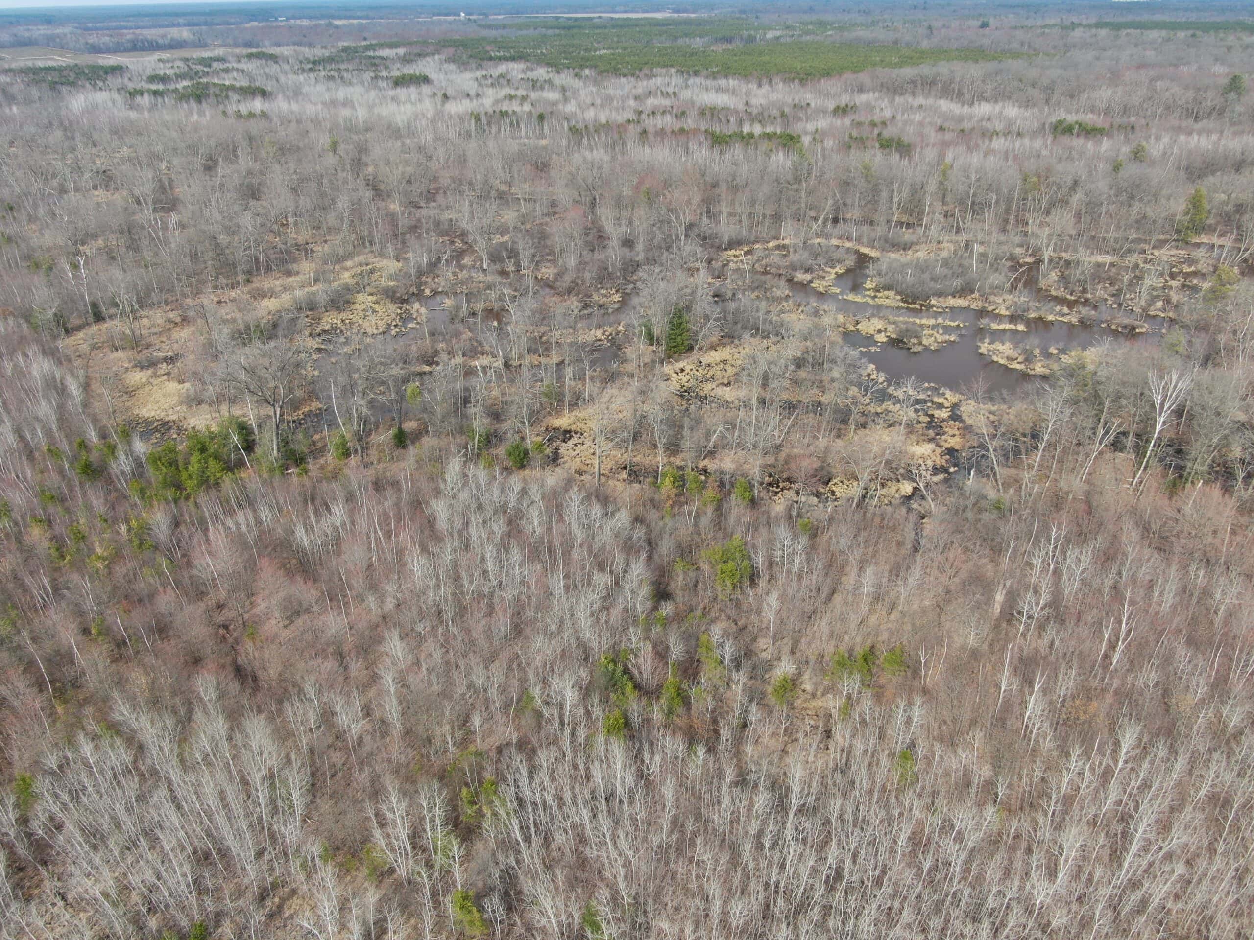 Juneau County WI 360 Acre Outdoor Paradise