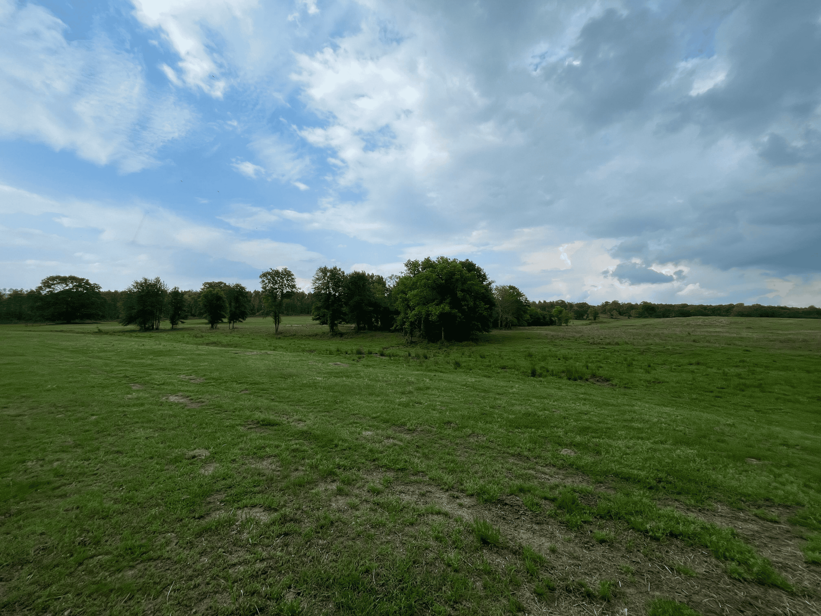 Secluded 100 Acre Mol Ranch in McCurtain County OK