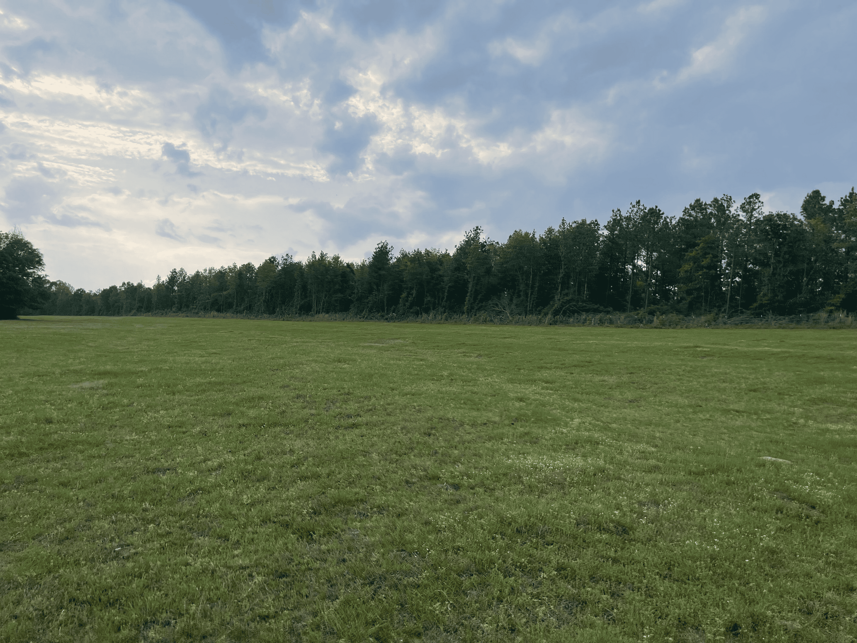 Secluded 100 Acre Mol Ranch in McCurtain County OK