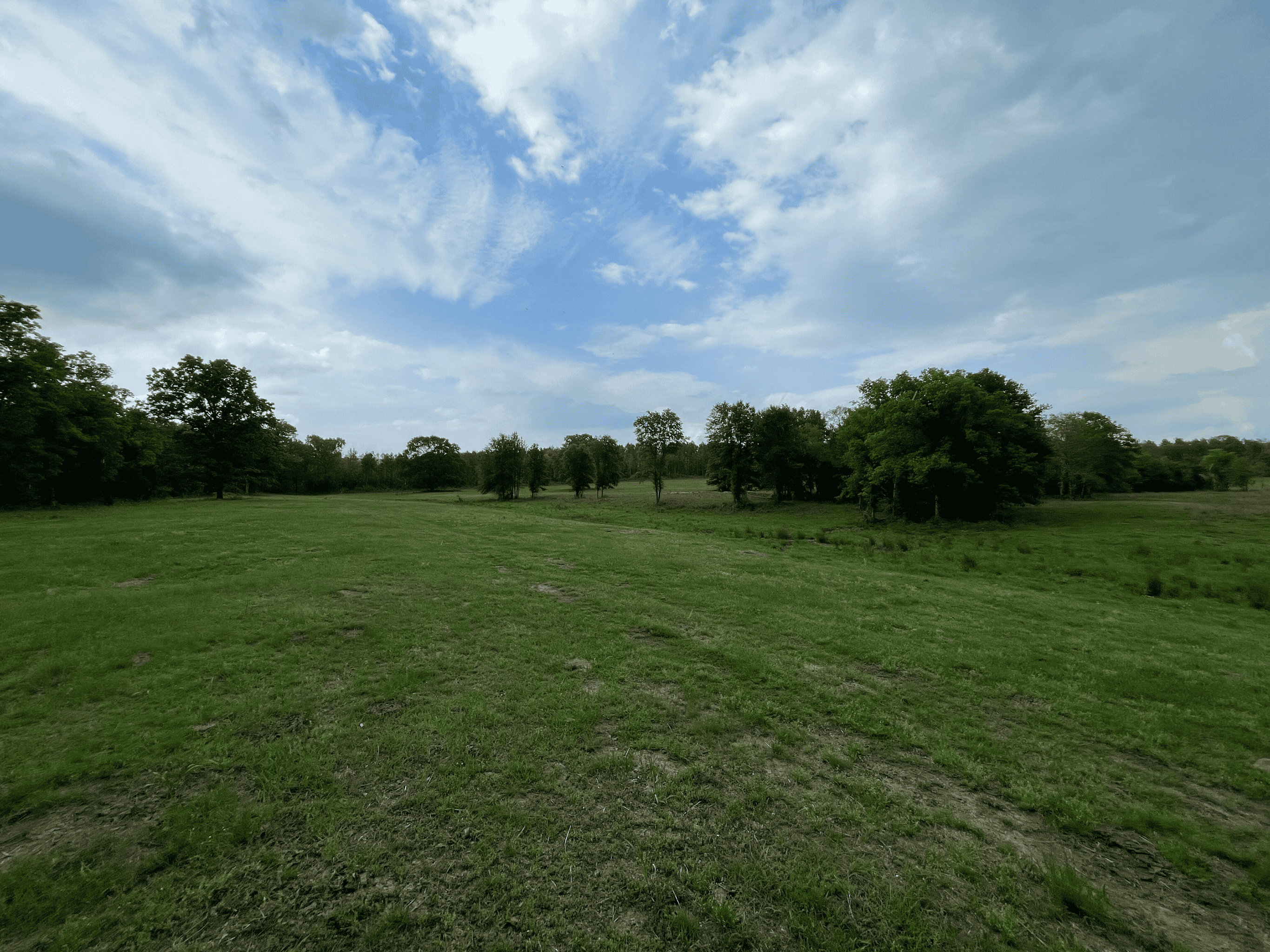 Secluded 100 Acre Mol Ranch in McCurtain County OK