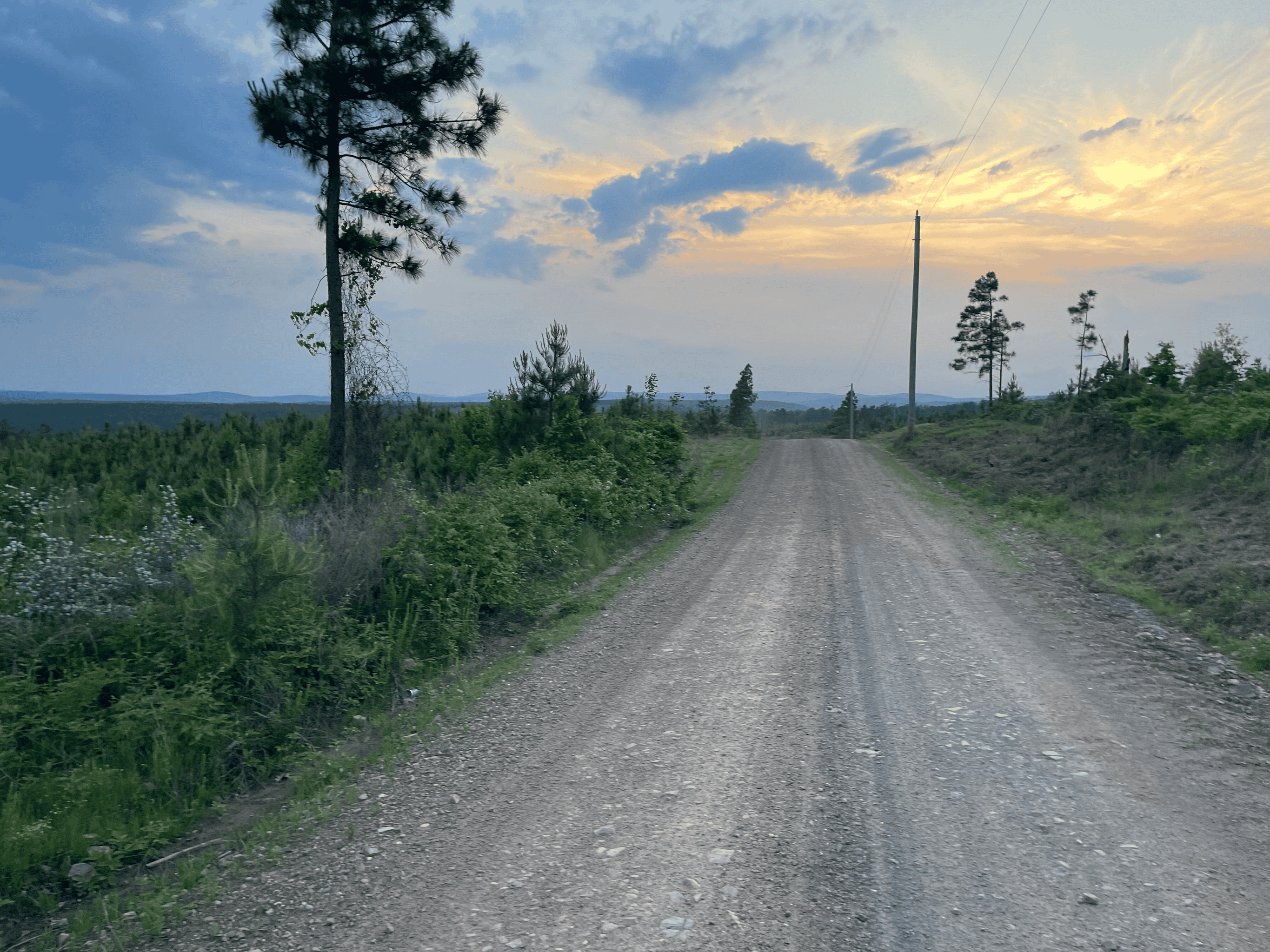 40 acres mol located just off of Wild Horse Trail in McCurtain, County, OK
