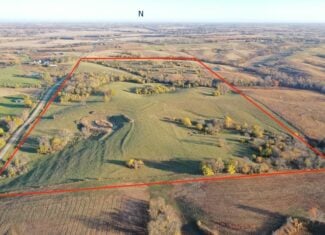 80 ± Acre Northern Parcel Farmland for Sale in Blockton, IA
