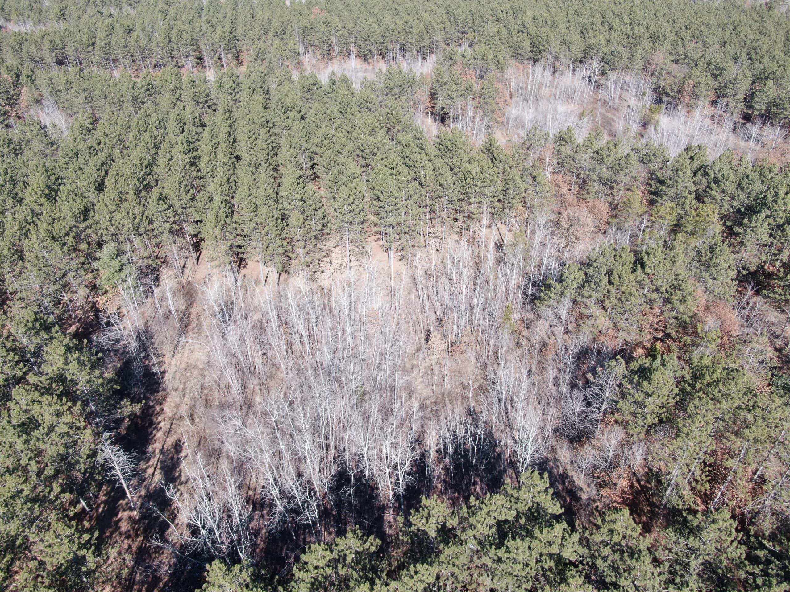 Juneau County WI 200-Acre Tract of Land