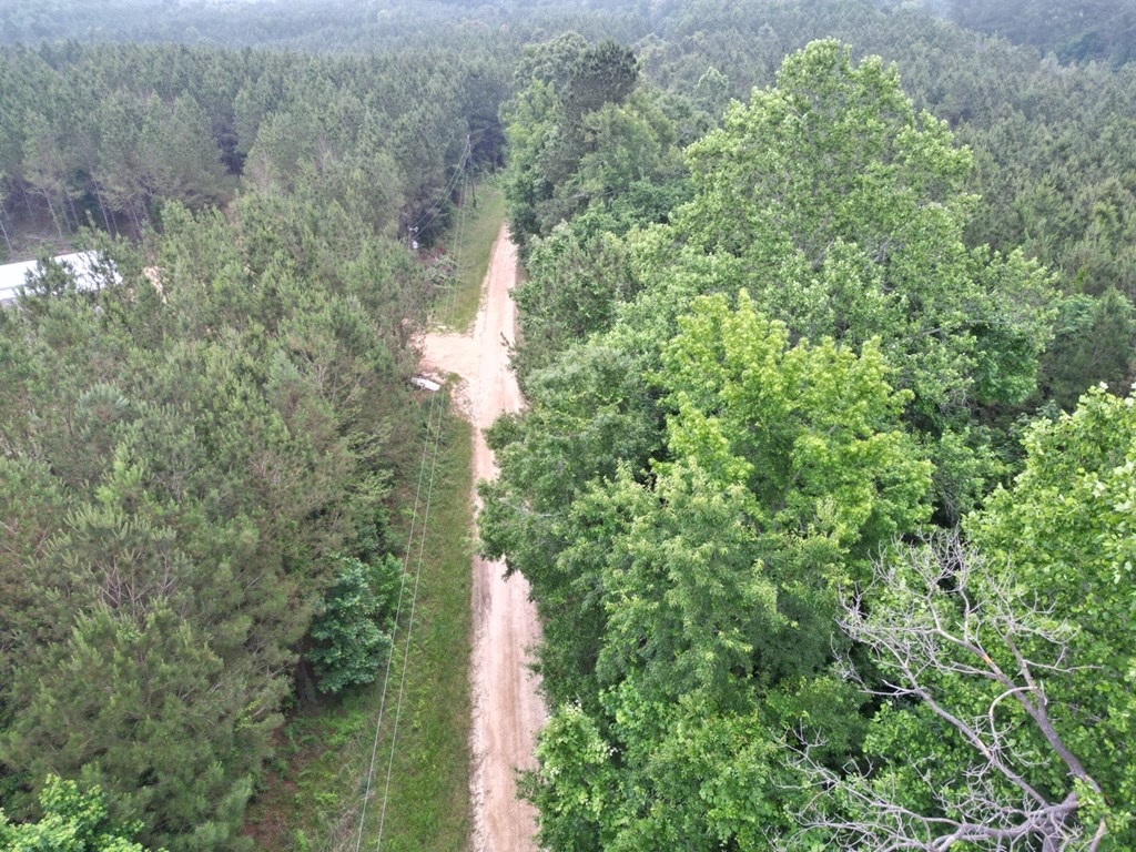 Secluded Land for Sale in Roxie – MS Hamburg Community Lot