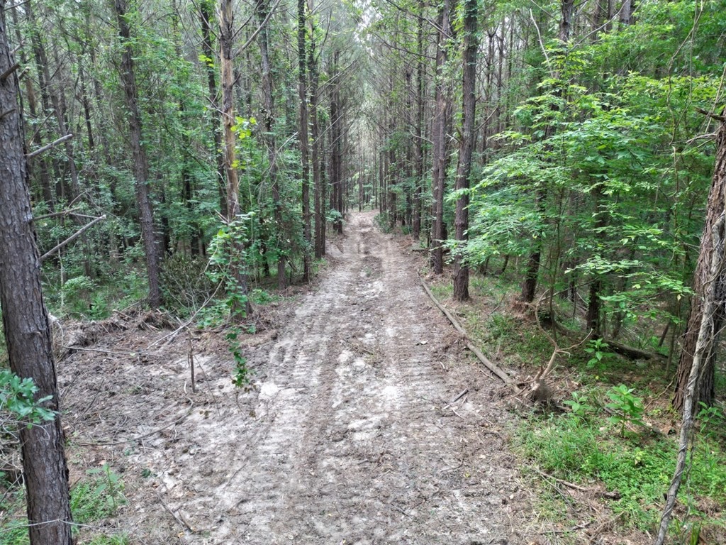 51 Acres of Hunting Land for Sale in Roxie, Mississippi