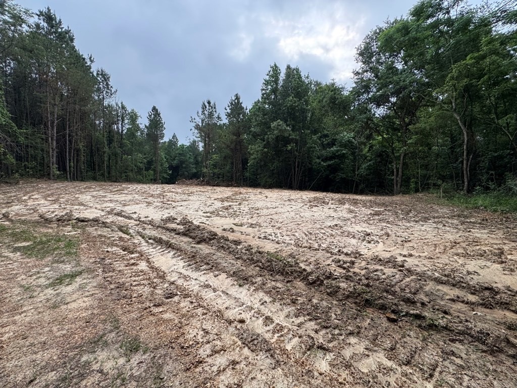 Hamburg 41: Hunting Land for Sale in Roxie, Mississippi