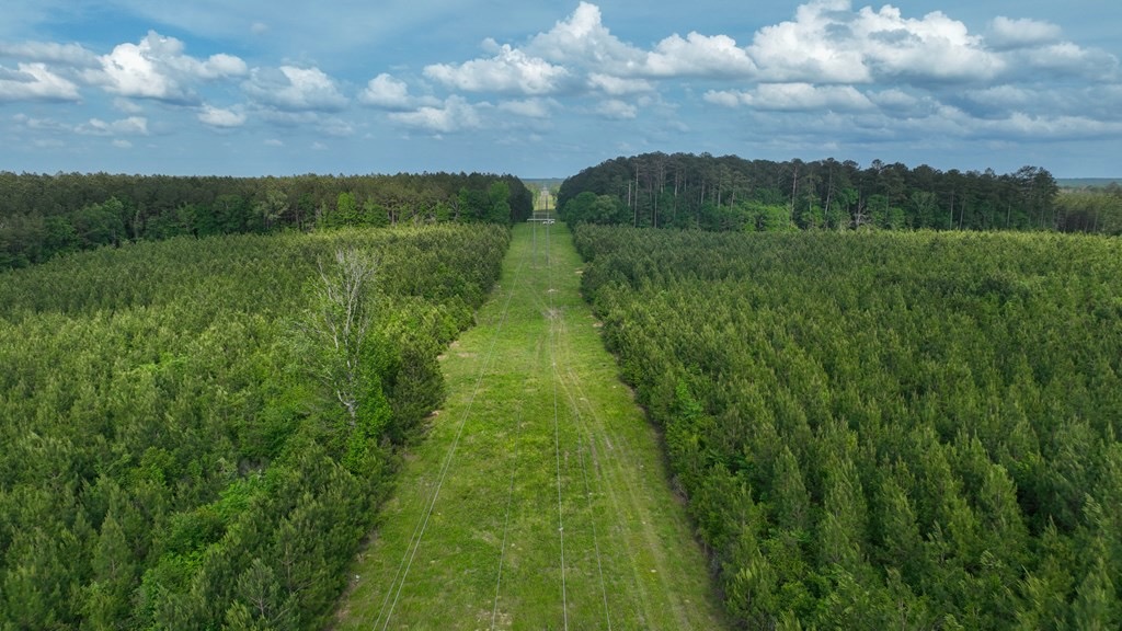 South Mississippi Hunting Paradise for Sale Amite County,MS