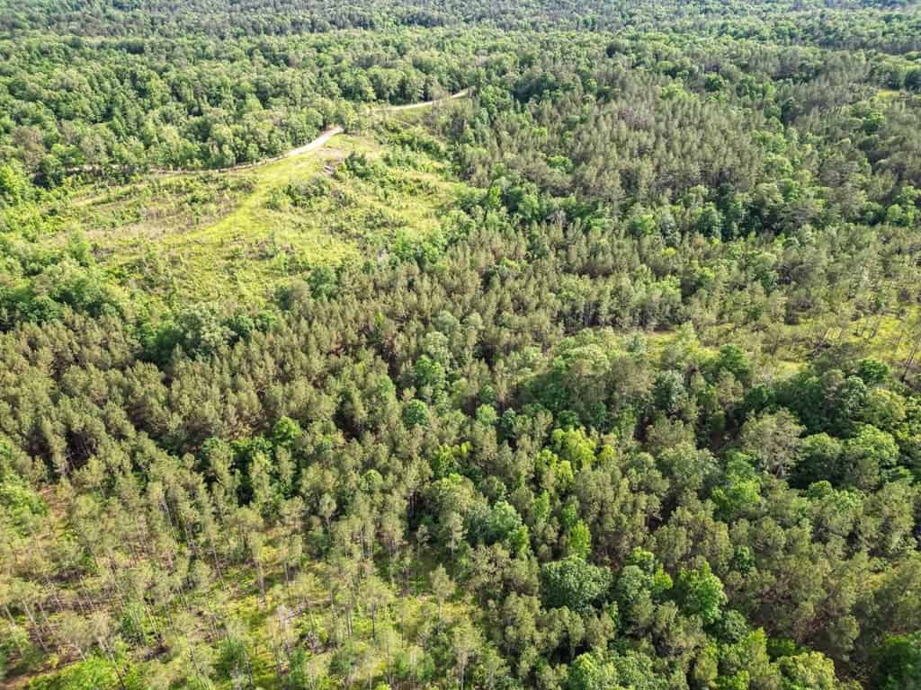 586 Hunting Land in the Catahoula Hills with Creek