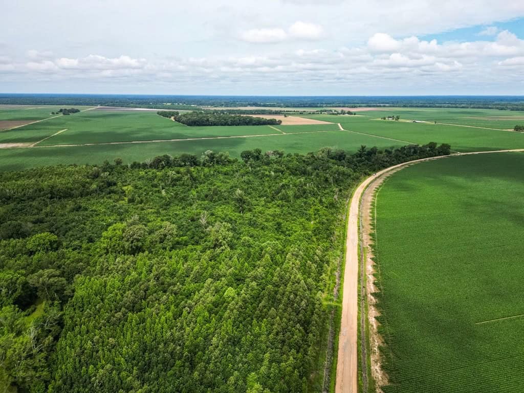 Hunting Land for Sale Morehouse Parish, LA