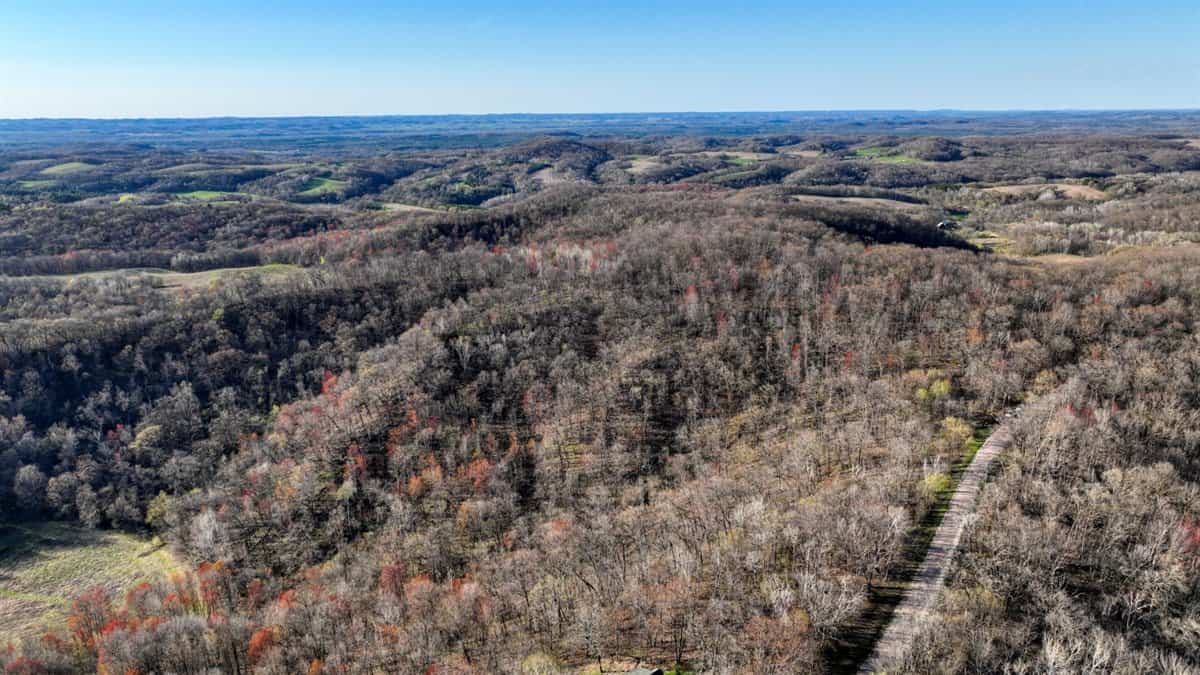 Premium 32+/- Acre Parcel in La Crosse County WI