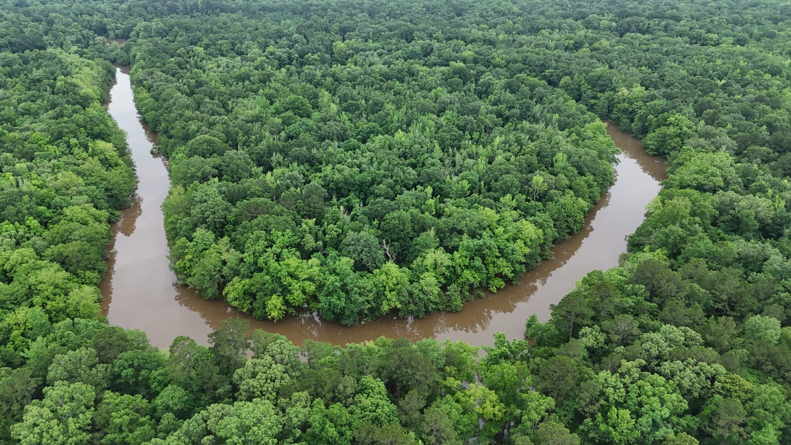 Riverfront Hunting Property with a Private Lake