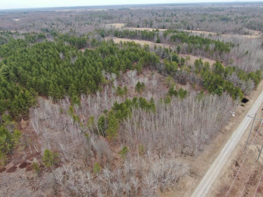 103± acre timber tract in Juneau County’s Town of Necedah