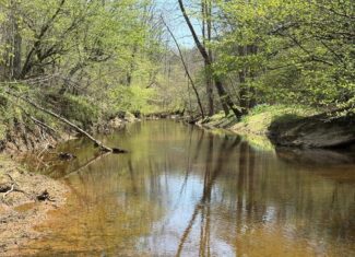 Prime Hunting Land Near Locust Grove & Culpeper, VA