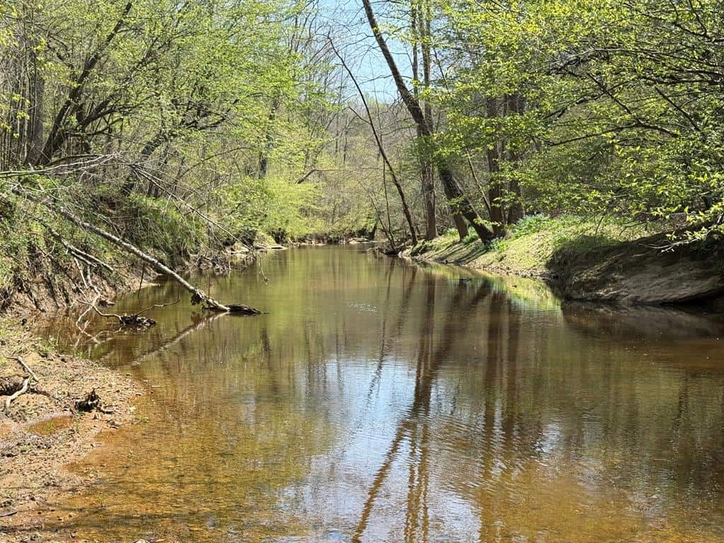 Prime Hunting Land Near Locust Grove & Culpeper, VA