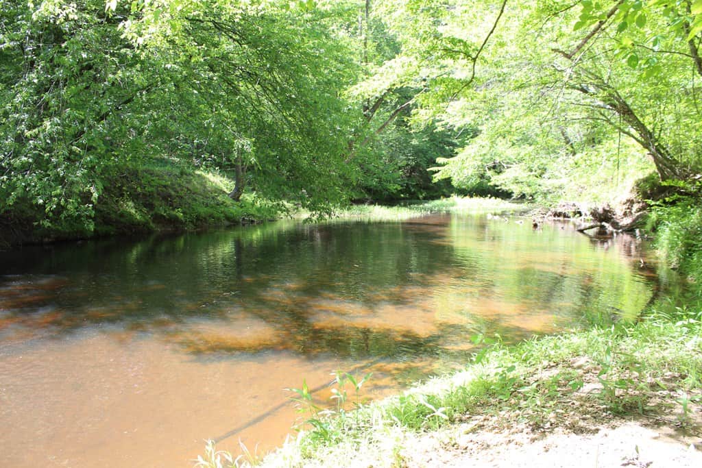 Prime Hunting Land Near Locust Grove & Culpeper, VA