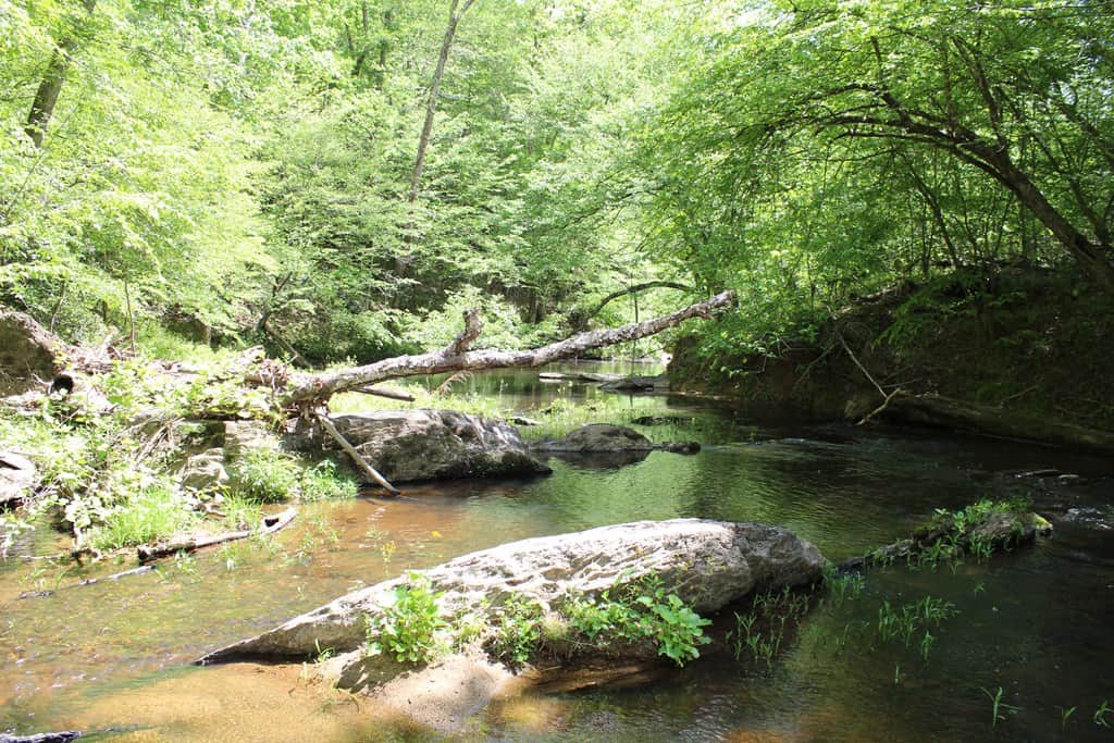 Prime Hunting Land Near Locust Grove & Culpeper, VA