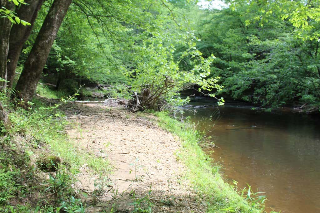 Prime Hunting Land Near Locust Grove & Culpeper, VA