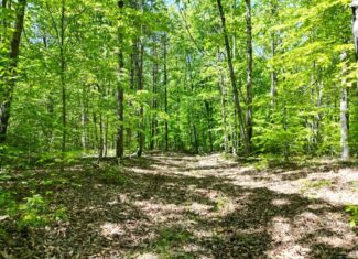 Prime Hunting Land Near Locust Grove & Culpeper, VA