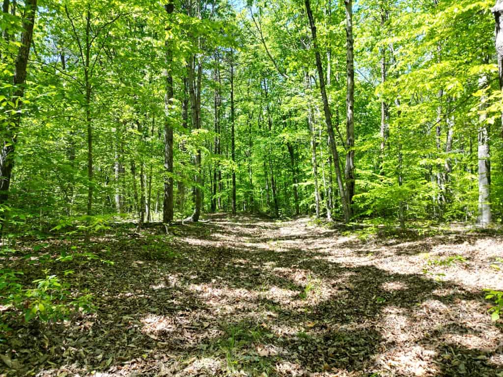 Prime Hunting Land Near Locust Grove & Culpeper, VA