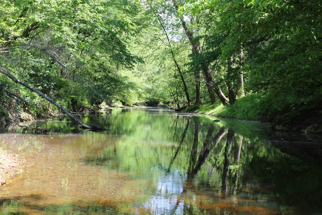 Prime Hunting Land Near Locust Grove & Culpeper, VA