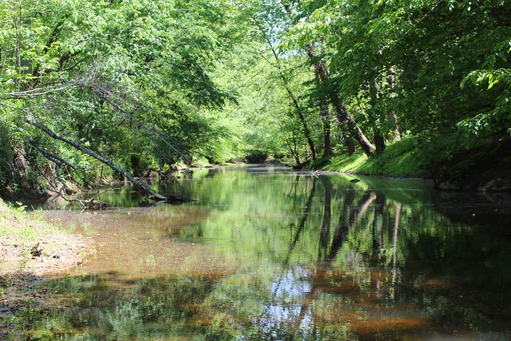 Prime Hunting Land Near Locust Grove & Culpeper, VA